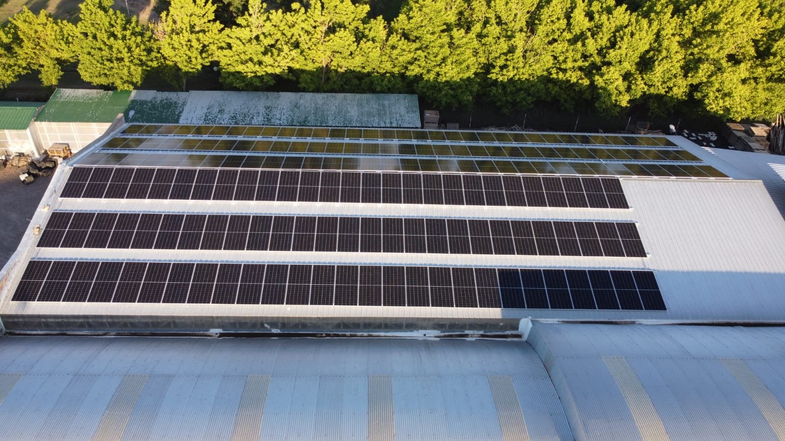 Sistema FV en Planta Frigorífica